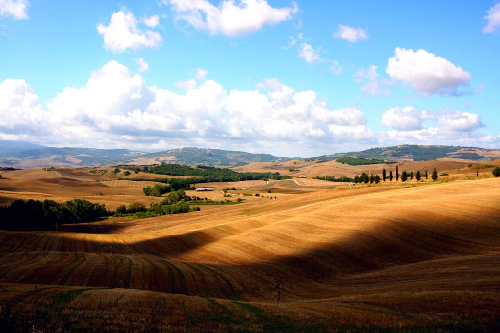 colline toscane