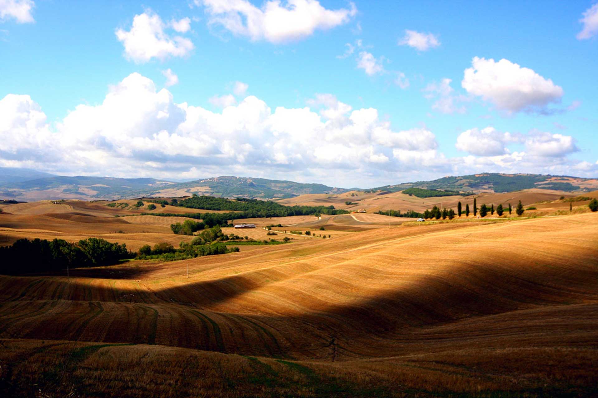 colline toscane