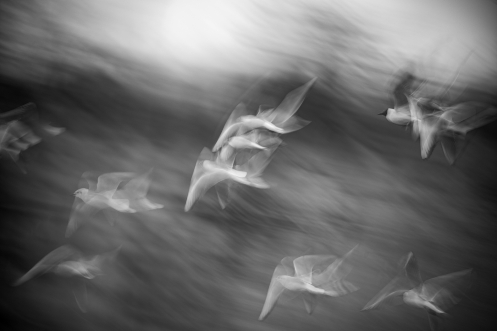 FANTASMI IN VOLO
